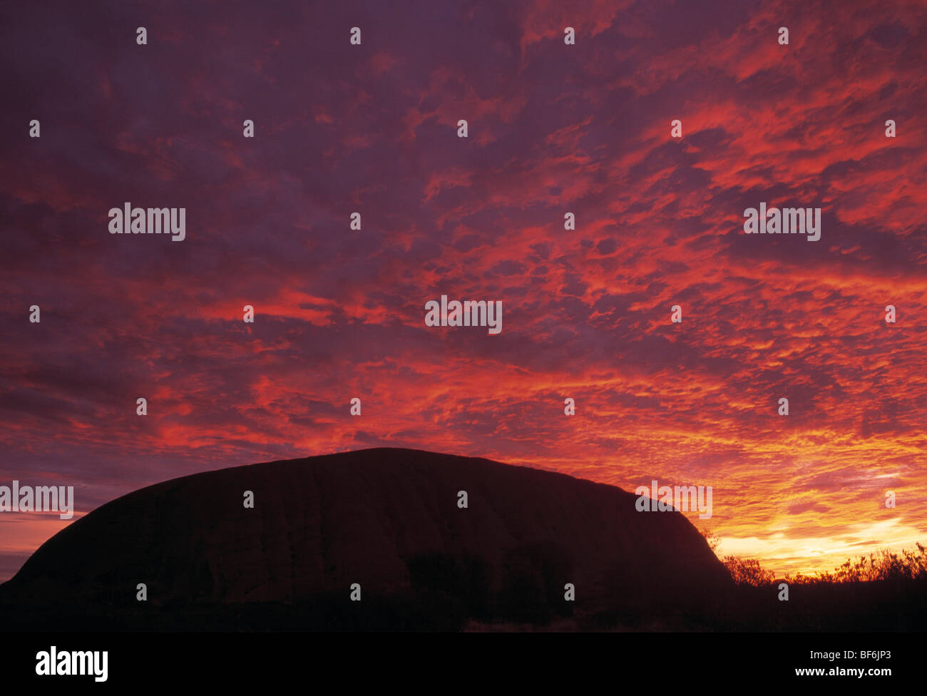 Ayers Rock, Uluru Kata Tjuta Nationalpark, northern Territory, Australien Stockfoto