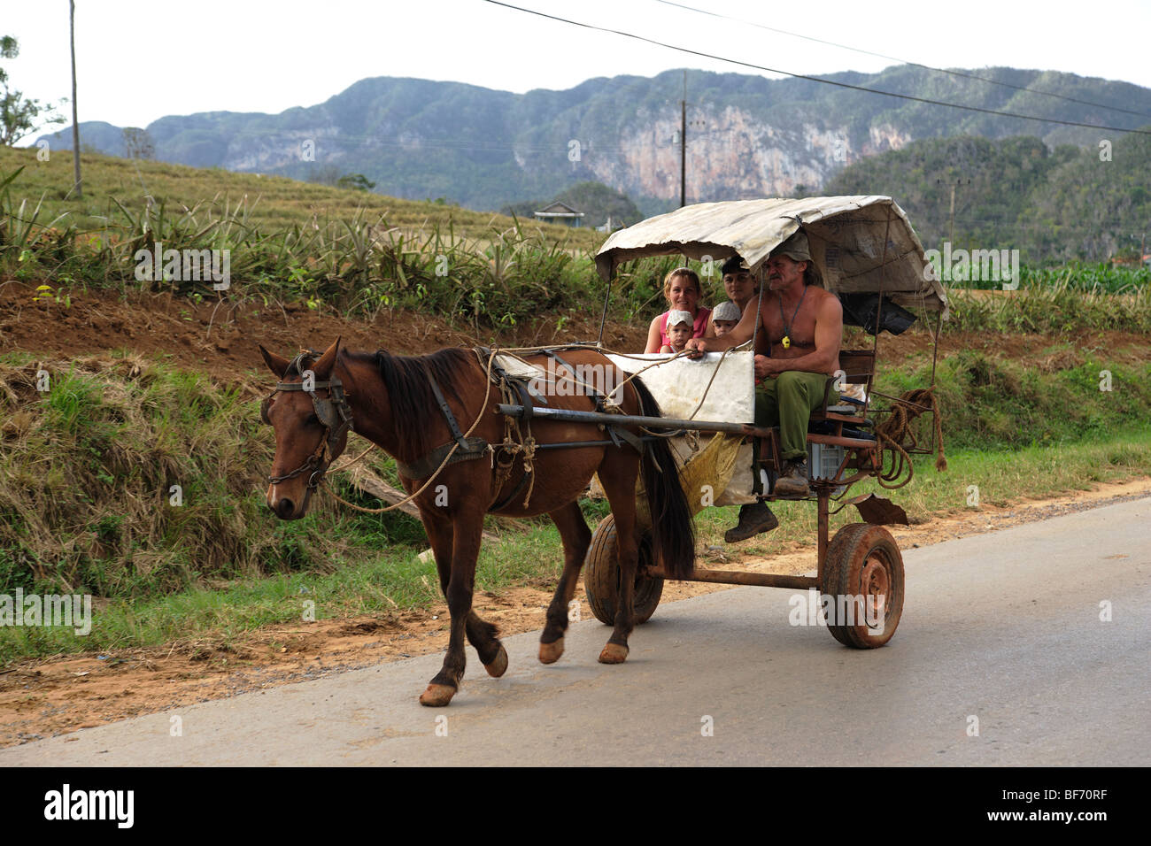 Familie in der Kutsche, Vinales, Pinar Del Rio, Kuba, West Indies Stockfoto