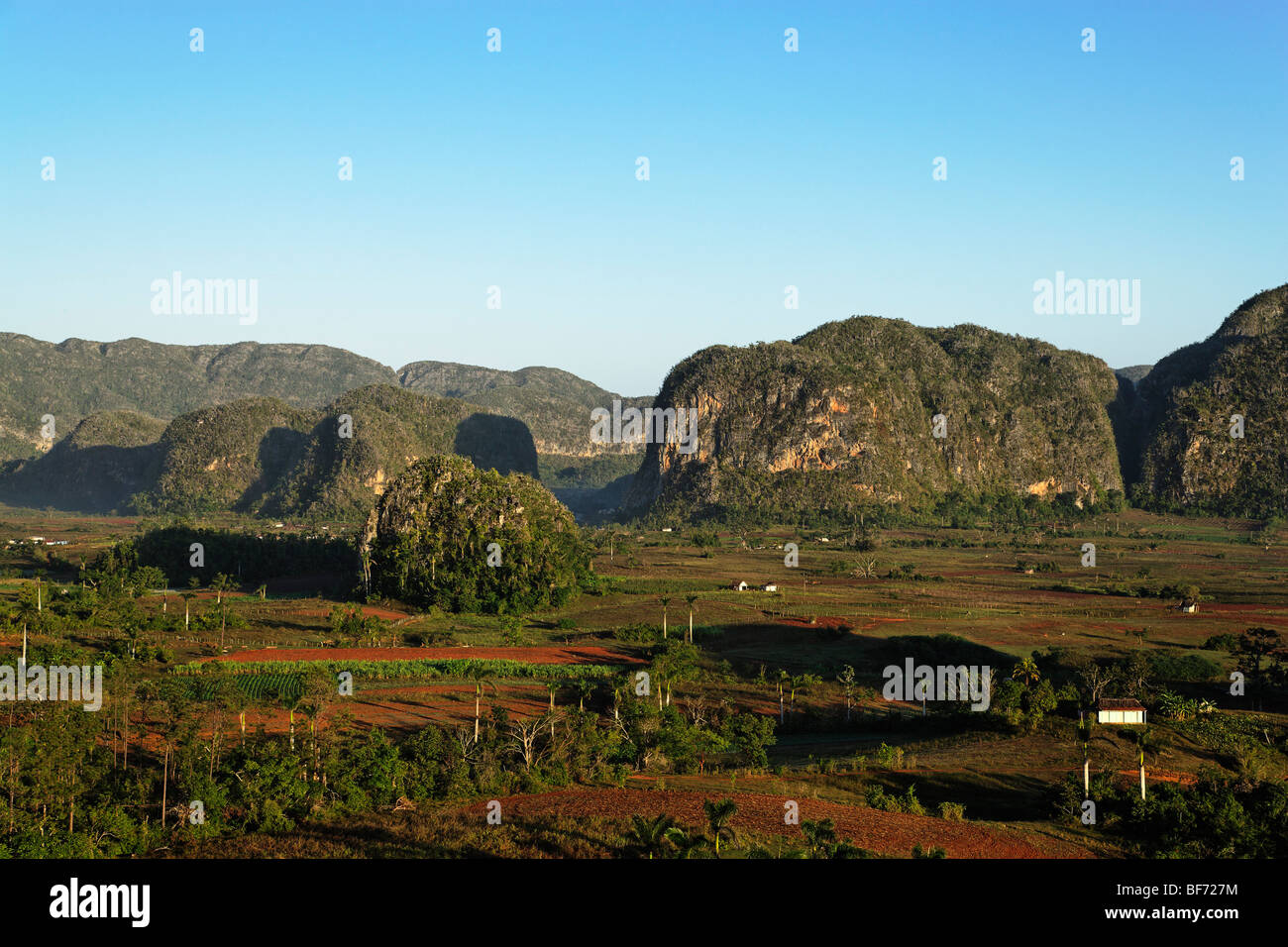 Mogotes, Parque National Vinales, Vinales, Pinar Del Rio, Kuba, Westindische Inseln Stockfoto
