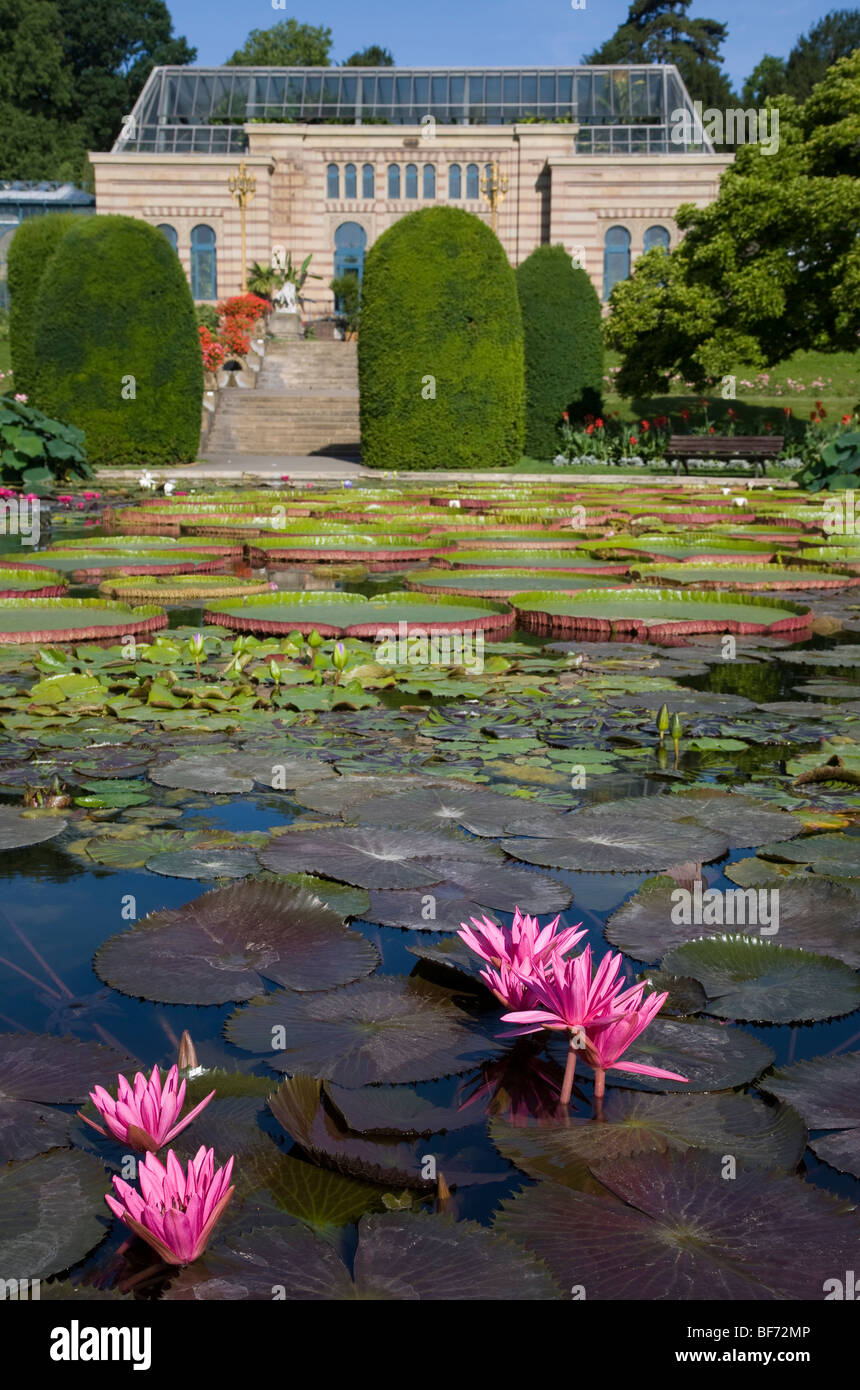 Wilhelma Stuttgart Stockfotos und bilder Kaufen Alamy