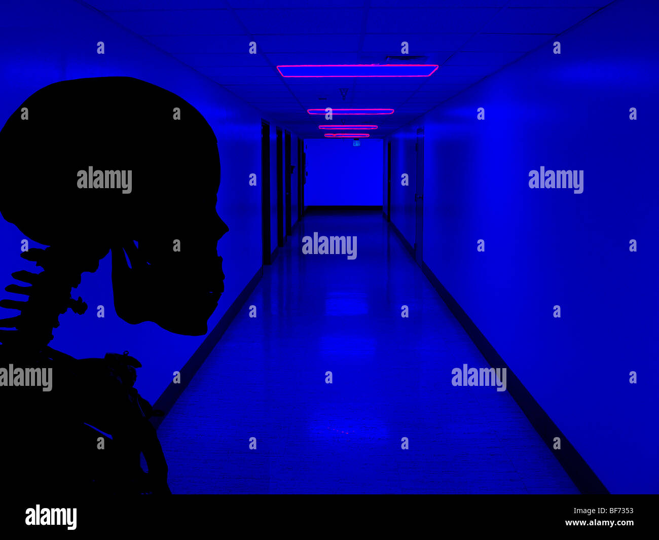 menschliches Skelett im Krankenhausflur nachts Stockfoto