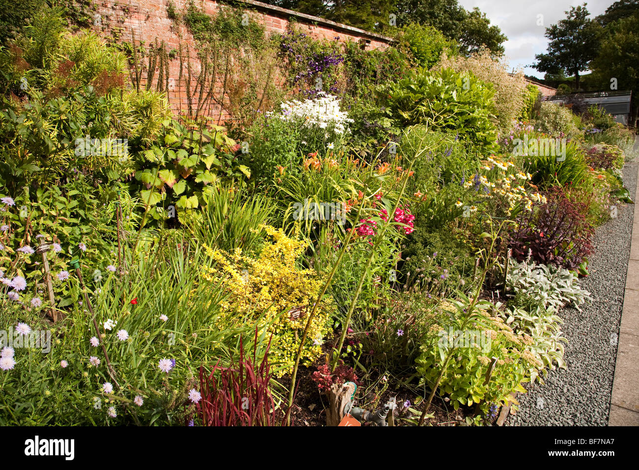 Holehird Gärten, Heimat der Lakeland Horticultural Society, sind 10 Hektar Hügel Seite Gärten in Windermere, Lake District Stockfoto