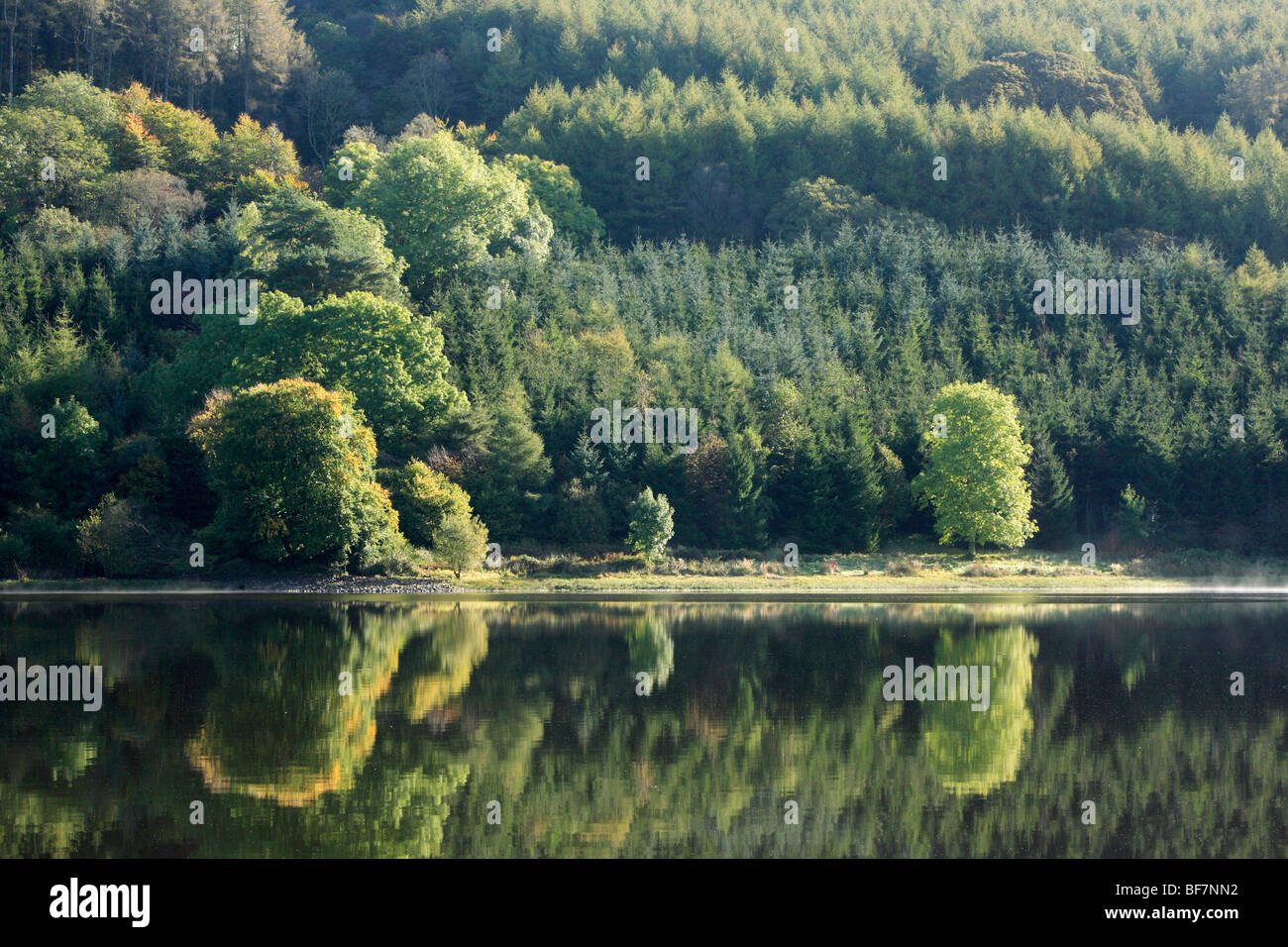 Pentwyn Reservoir, Brecon Beacons, Wales, UK Stockfoto
