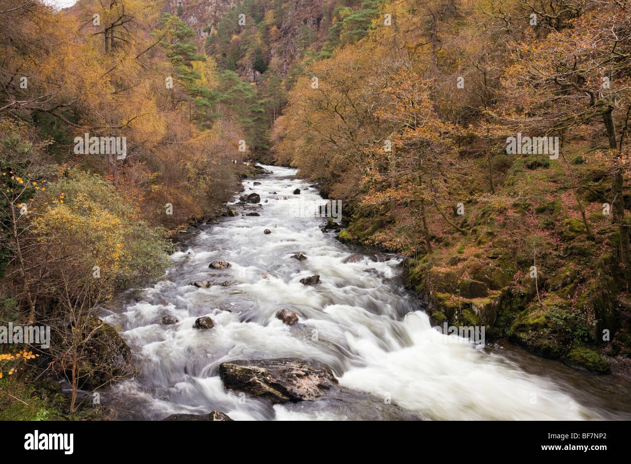 Aberglaslyn Beddgelert Gwynedd North Wales UK Afon Glaslyn River in Aberglaslyn Pass in die Berge von Snowdonia im Herbst Stockfoto