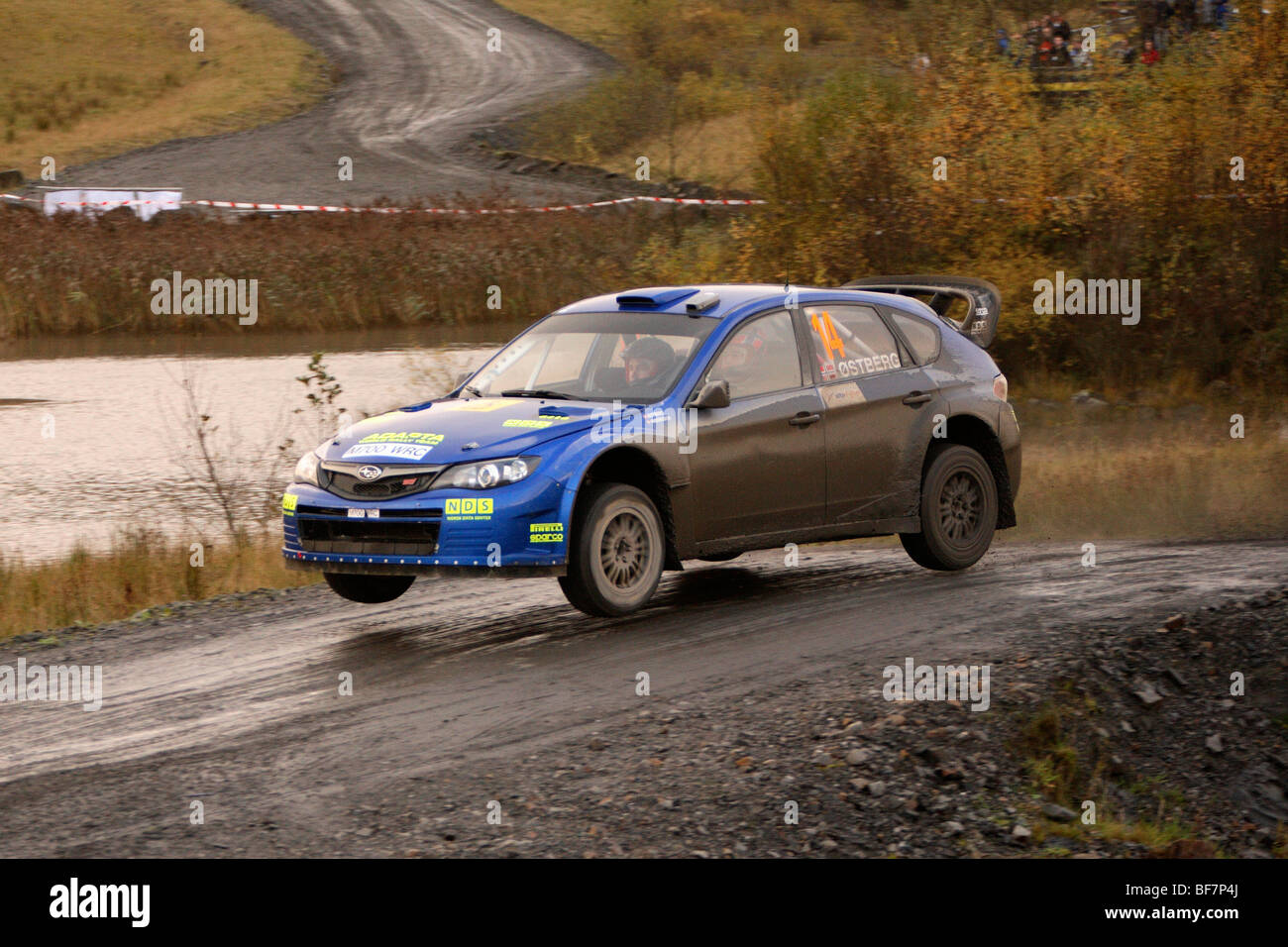 Mads Östberg, WRC Rallye GB, Wales, UK Stockfoto