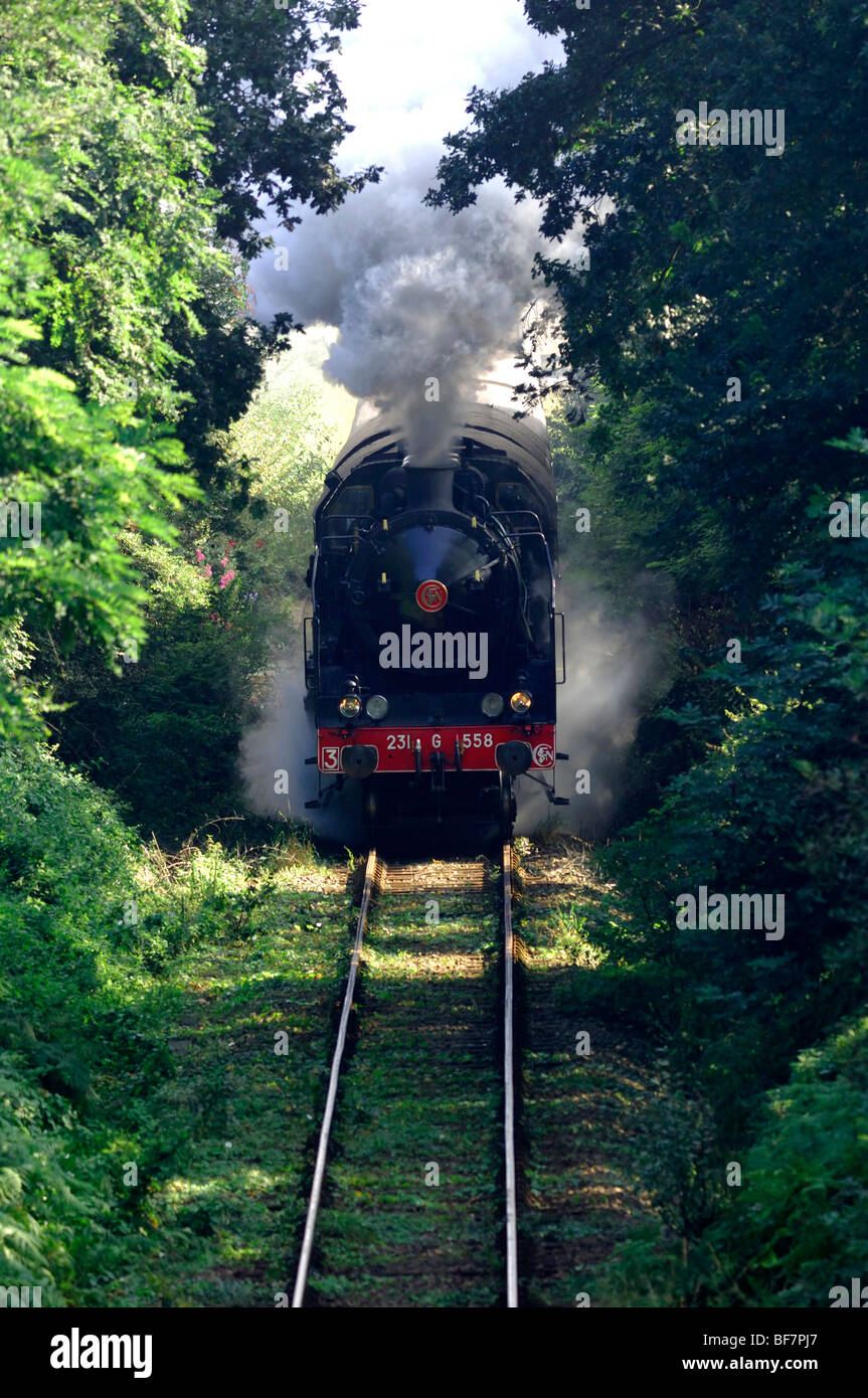 Paimpol (22): der Zug mit dem Namen 'La Vapeur du Trieux' Stockfoto