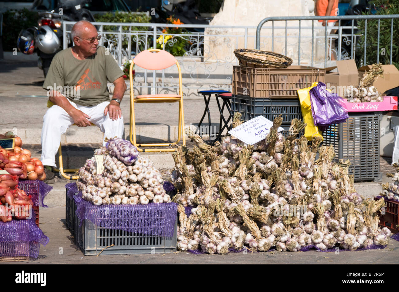 Knoblauch-Verkäufer, im freien Markt, Bandol, Cote d ' Azur, Südfrankreich Stockfoto