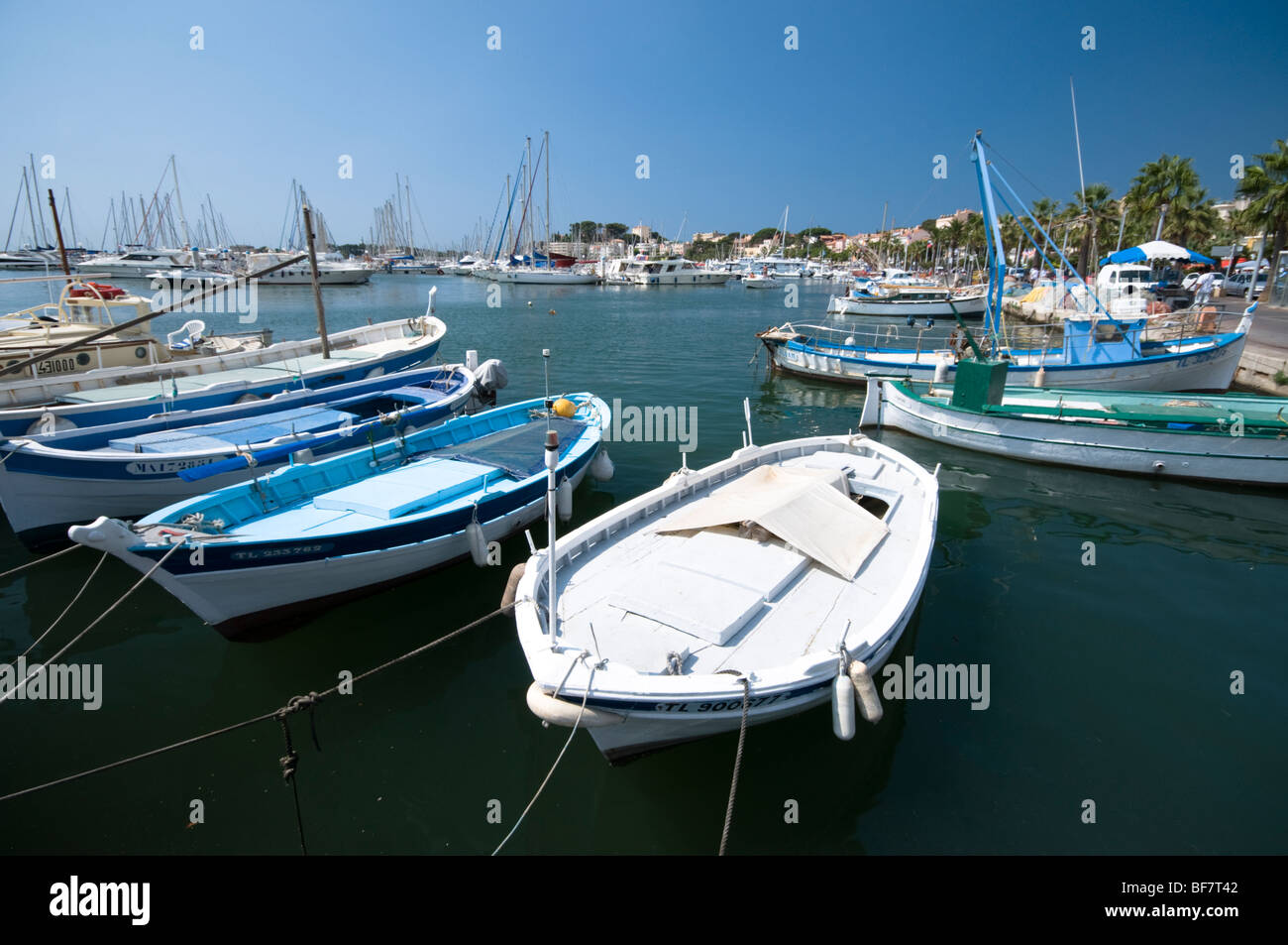 Bandol Port, Cote d ' Azur, Südfrankreich Stockfoto