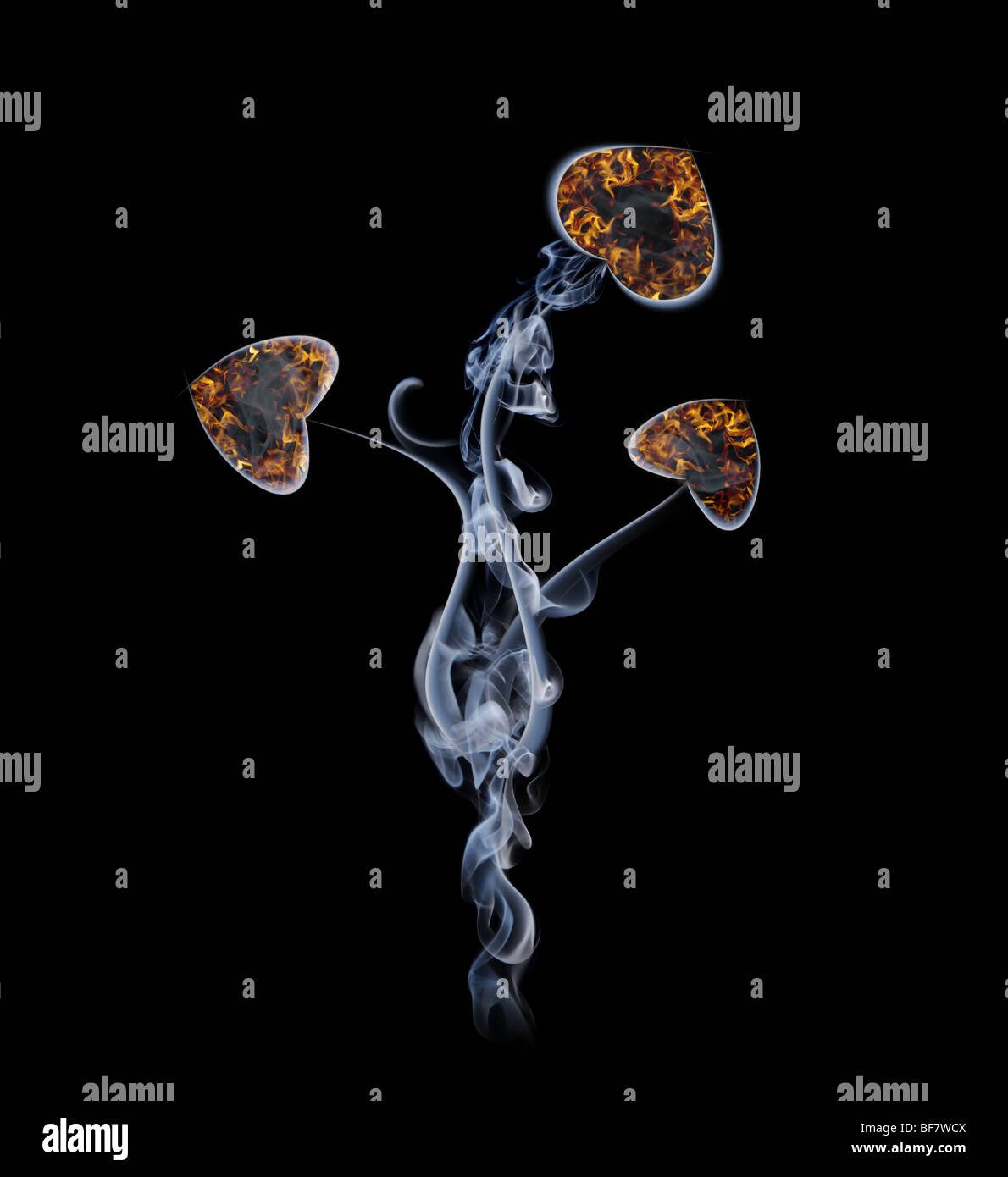 Blume in Form von Herzen von Rauch und Feuer. Eine Collage aus Fragmenten von Rauch auf schwarzem Hintergrund Stockfoto