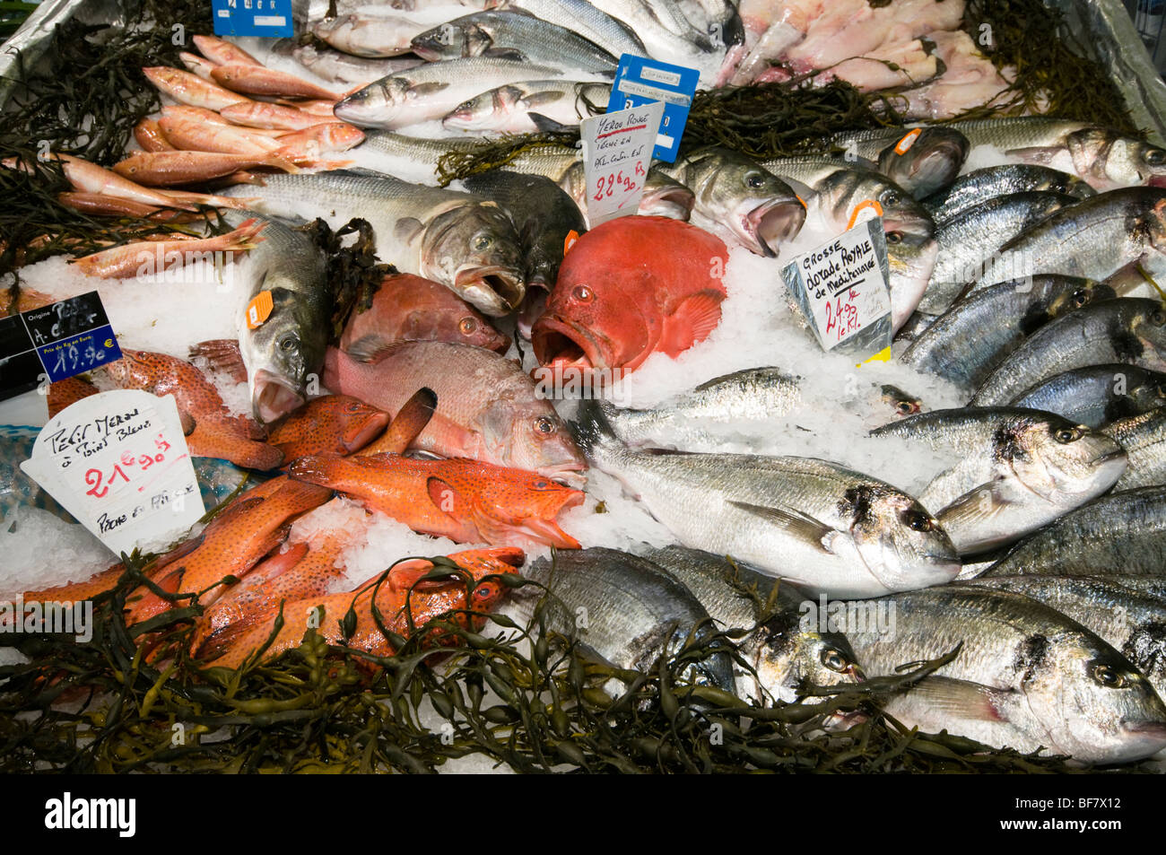 Fischtheke, Französisch Supermarkt Stockfoto