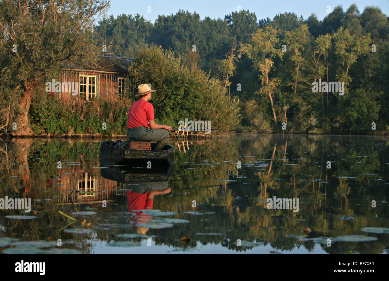 Angeln am Teich Stockfoto