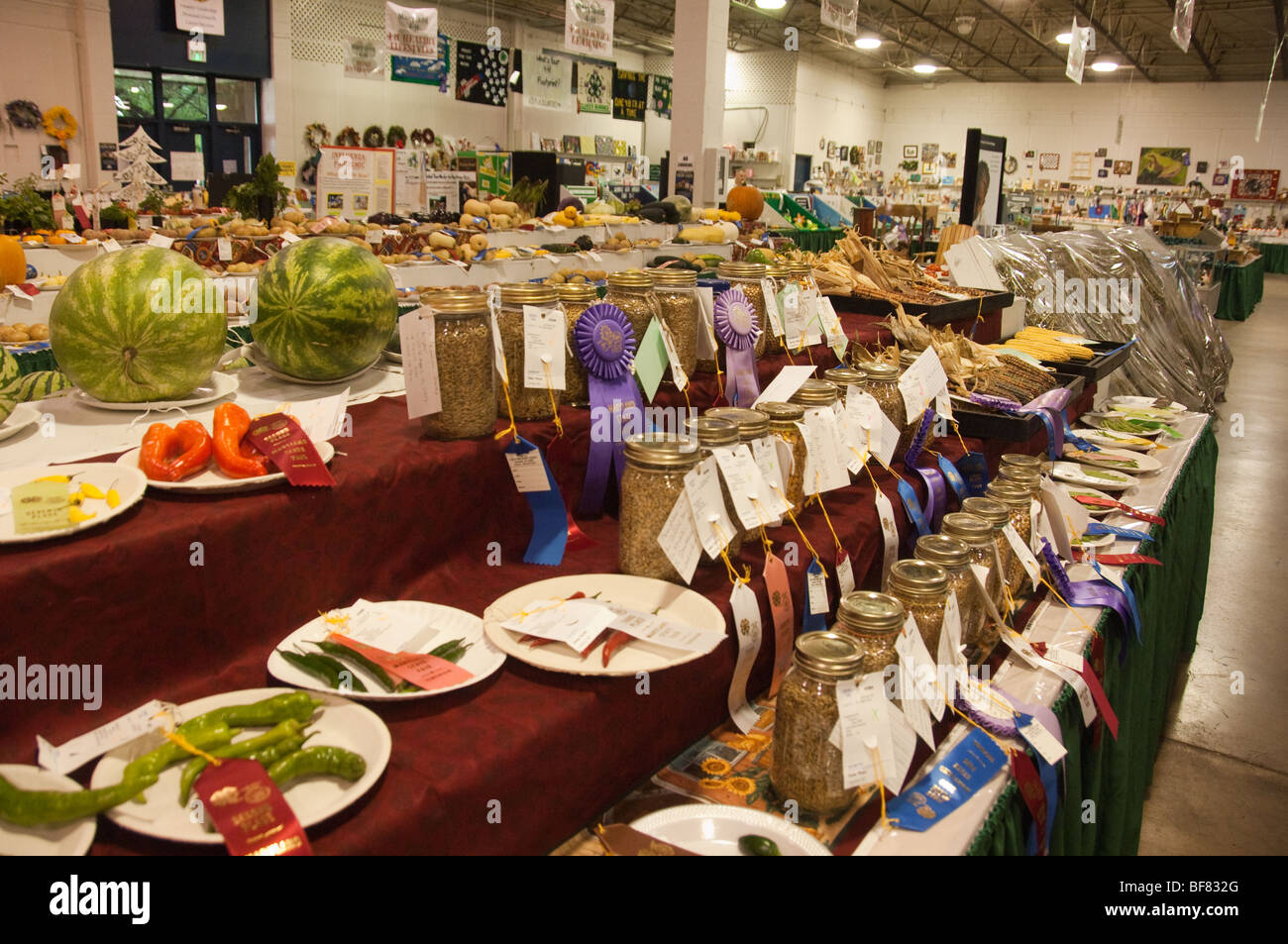 Indoor 4-H-Exponate an Maryland State Fair Stockfoto