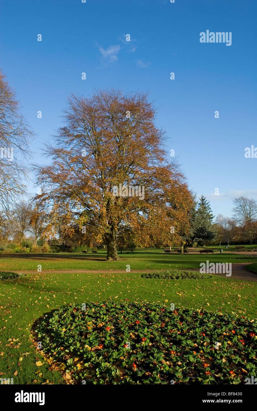 St Nicholas Park Warwick Stockfoto