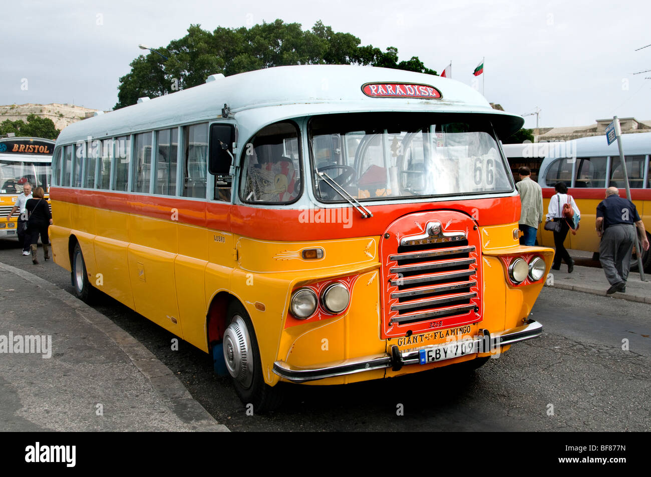 Malta Valletta Stadtbus gelb ÖPNV Stockfoto