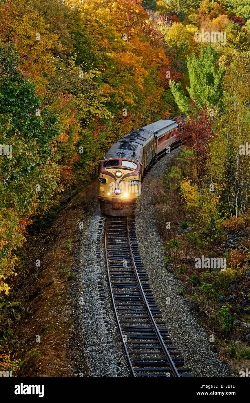 Conway Scenic Railroad Diesellok Reisen durch Crawford Notch in den White Mountains National Forest Stockfoto