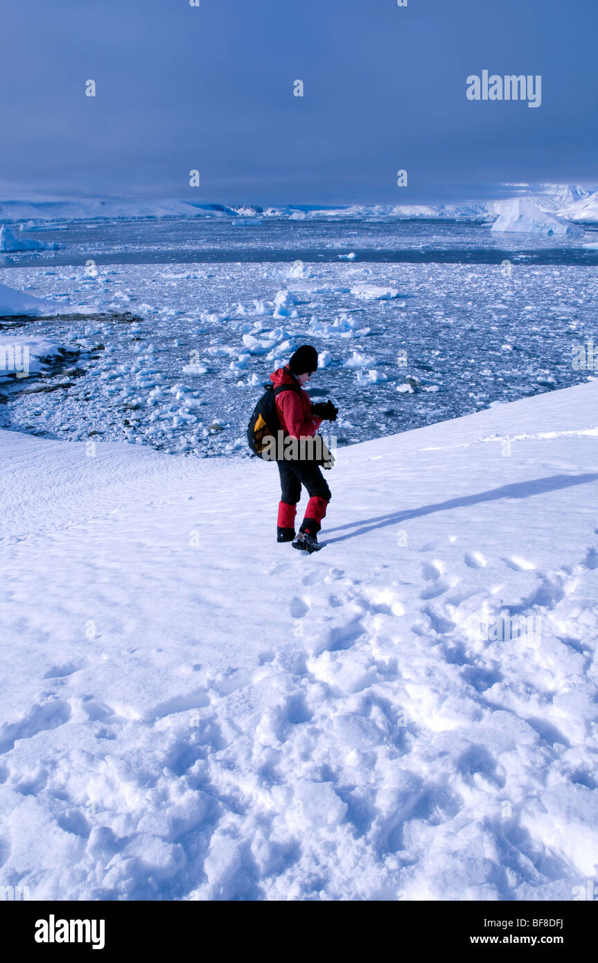 Ein einsamer Tourist in Charlotte Bay in der Antarktis Stockfoto