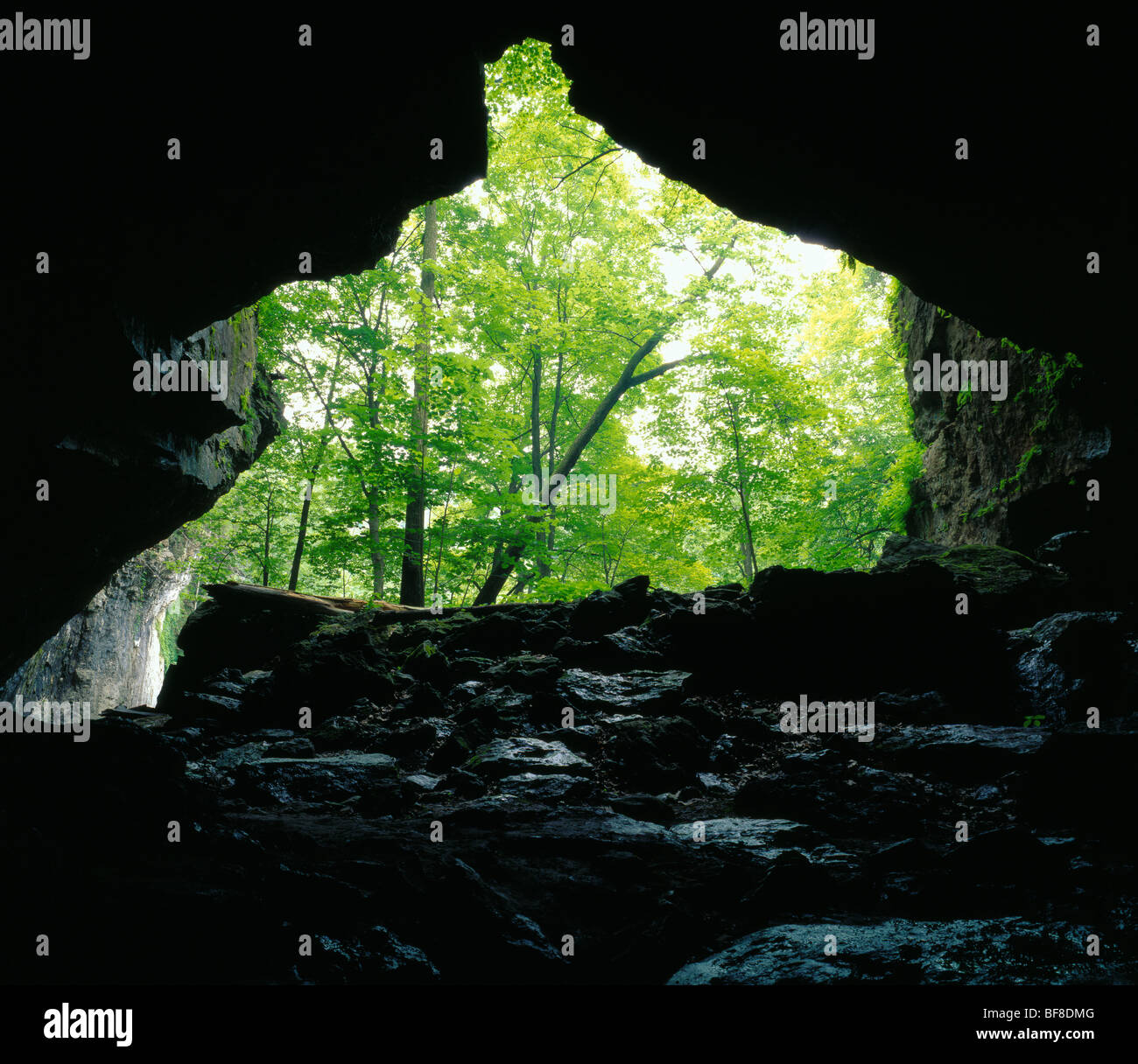 Blick aus unteren Dancehall Höhle, Maquoketa Höhlen Staatspark, Iowa Stockfoto