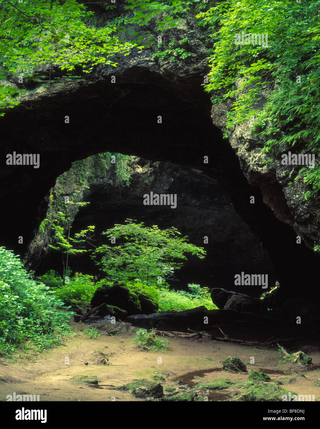 natürliche Brücke, Maquoketa Höhlen Staatspark, Jackson County, Iowa Stockfoto