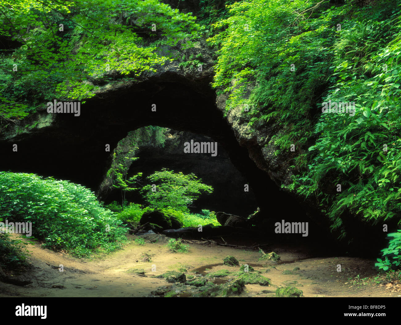 natürliche Brücke, Maquoketa Höhlen Staatspark, Jackson County, Iowa Stockfoto