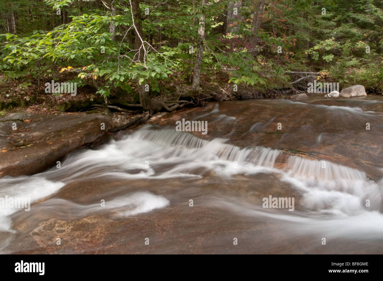 Alten Gletschern geschnitzten Stream läuft durch "The Opale in Franconia Notch State Park, New Hampshire, USA Stockfoto