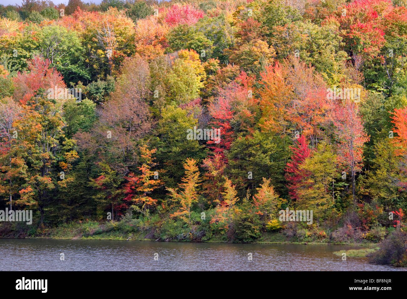 Herbstfarben in Upstate New York Stockfoto