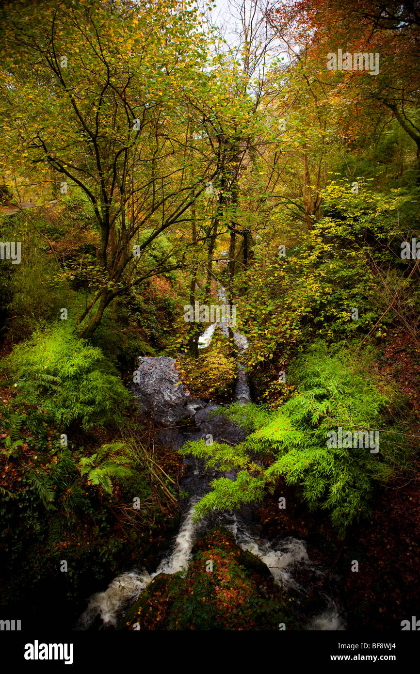 North Wales Snowdonia Croesor Herbst bunte stürmischen bunte Landschaft Natur Stockfoto