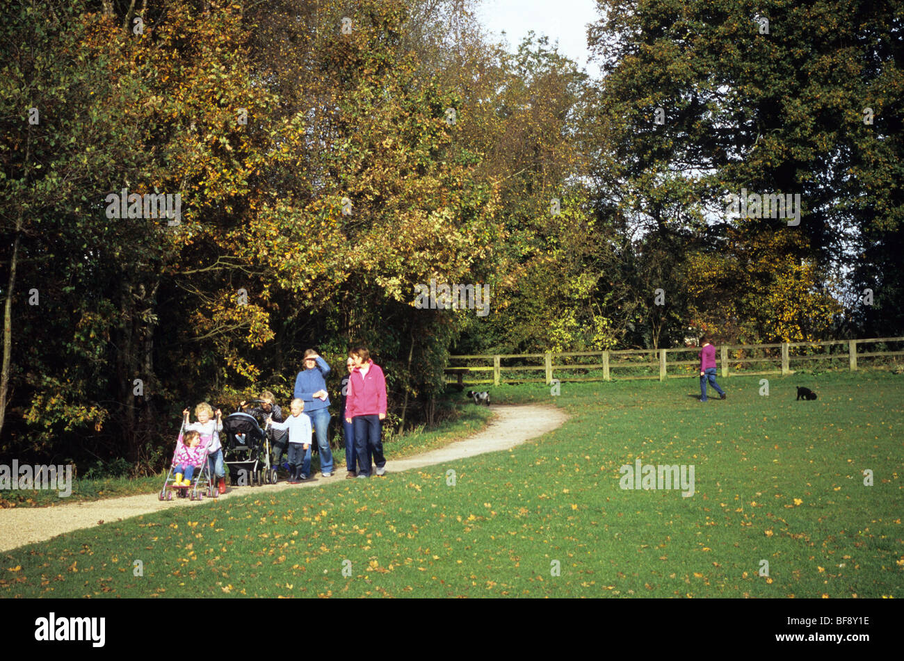 Familie mit Kindern genießen gehen im Herbst auf Brererton Heath Country Park in Cheshire Stockfoto