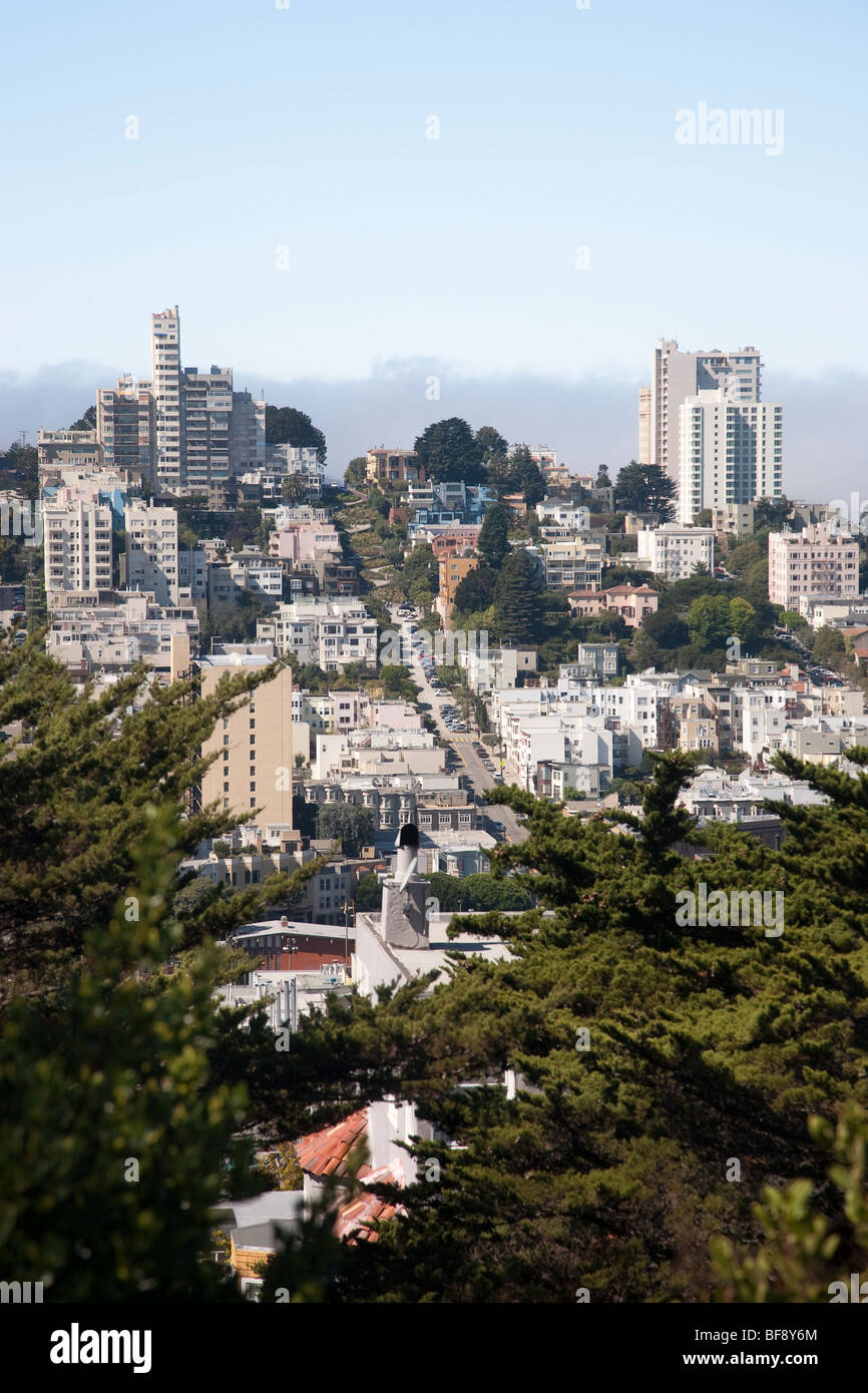 Blick auf San Francisco mit Lombard Street, Kalifornien, USA Stockfoto