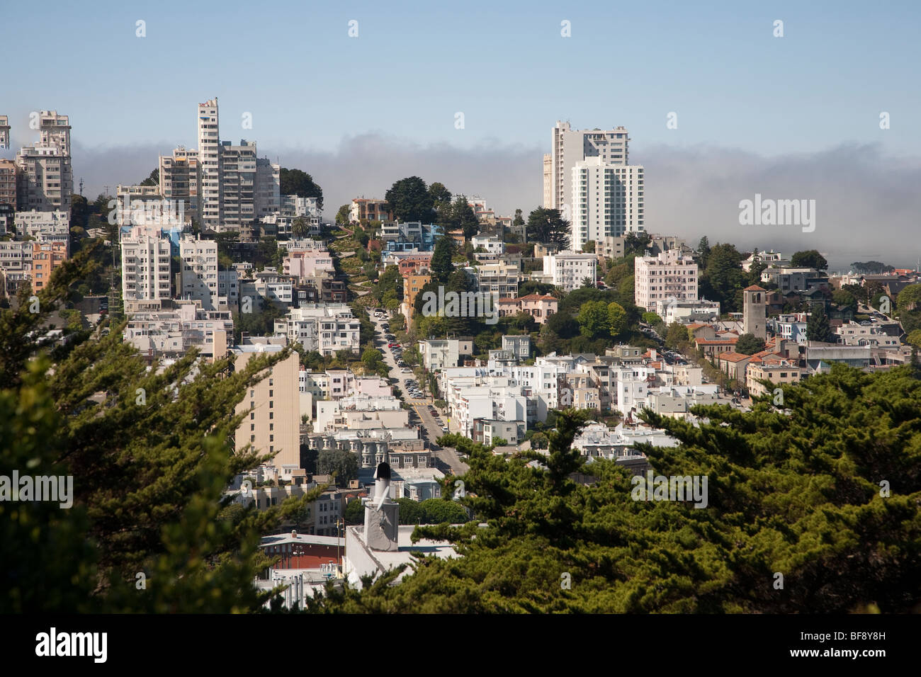 Blick auf San Francisco mit Lombard Street, Kalifornien, USA Stockfoto