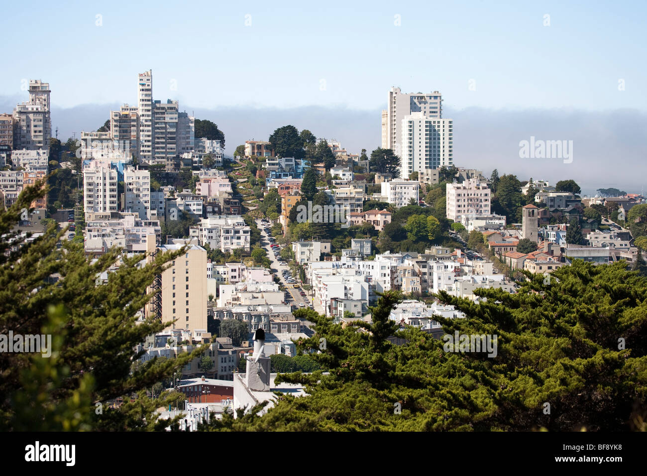 Blick auf San Francisco mit Lombard Street, Kalifornien, USA Stockfoto