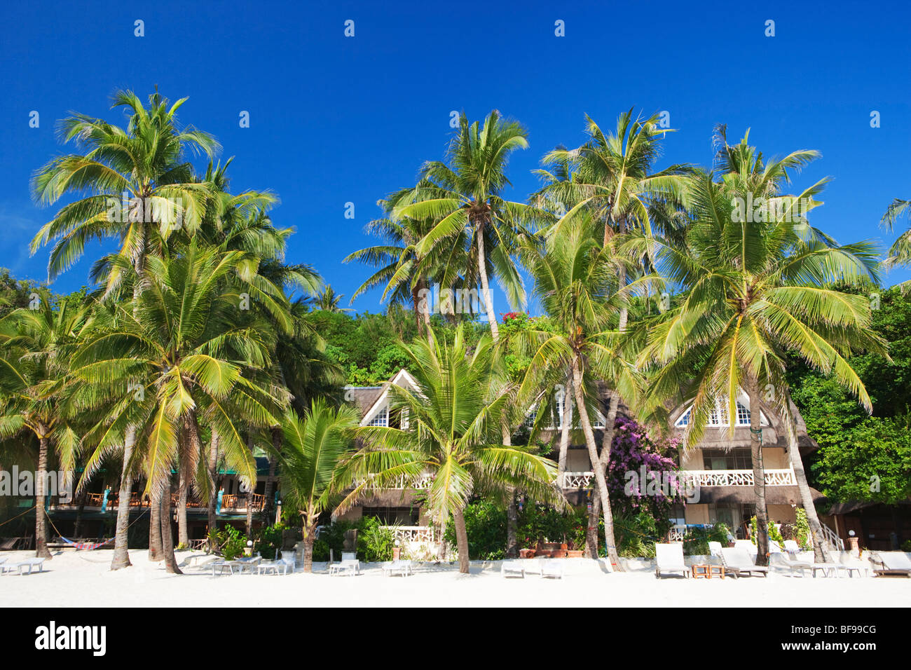 Häuser zwischen Palmen Boracay; Die Visayas; Philippinen. Stockfoto