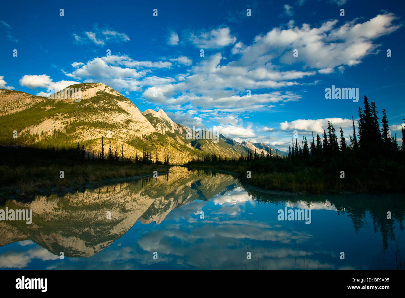 Colin Bergkette angesehen von Athabasca River Valley, Jasper Nationalpark, Alberta, Kanada Stockfoto