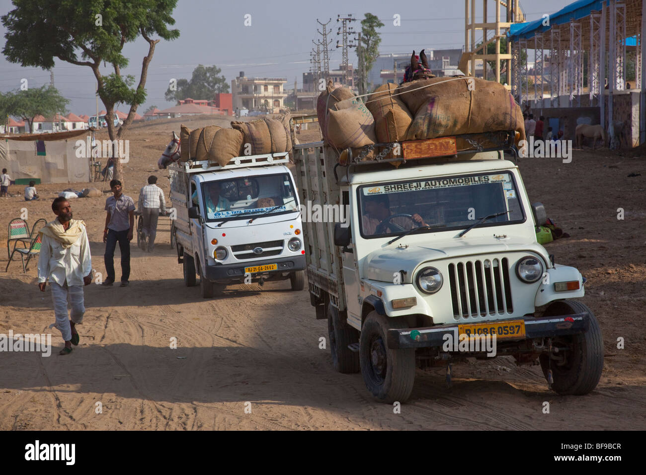 Pferde, die Ankunft in Pushkar Mela in Pushkar in Rajasthan Indien Stockfoto