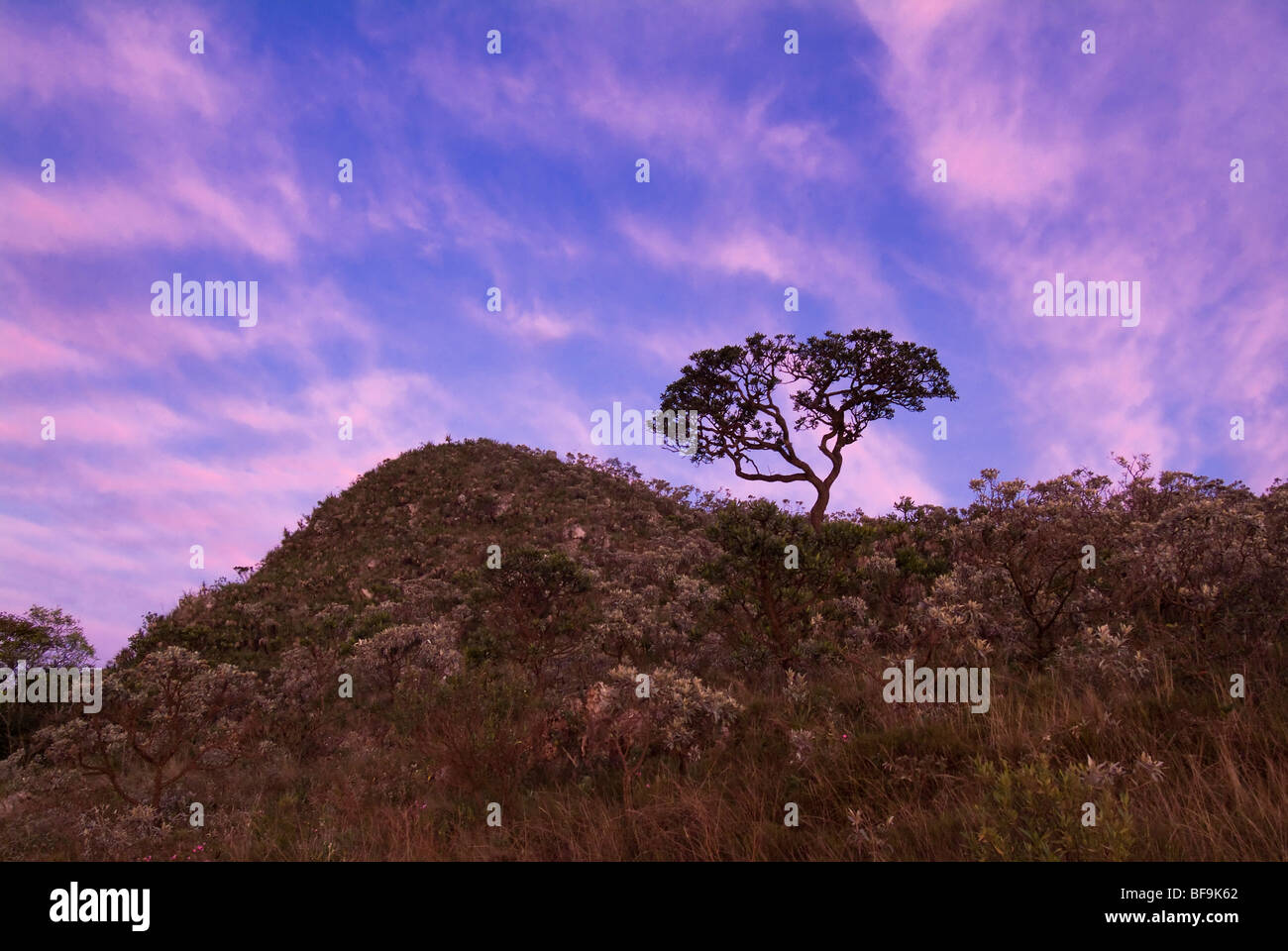 Nationalpark Serra da Canastra; Minas Gerais; Brazilien Stockfoto