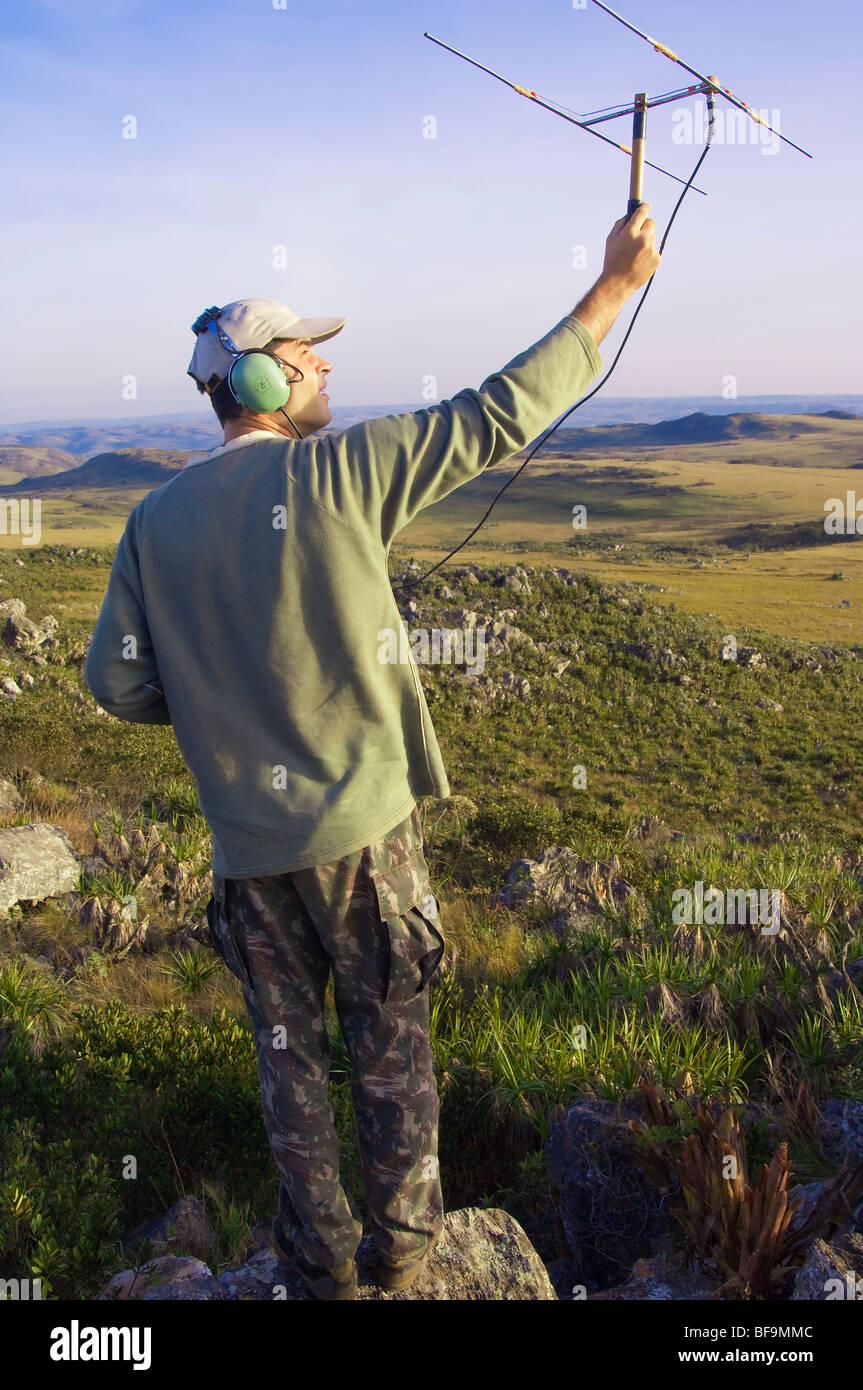 Nationalpark Serra da Canastra; Minas Gerais, Brasilien Stockfoto