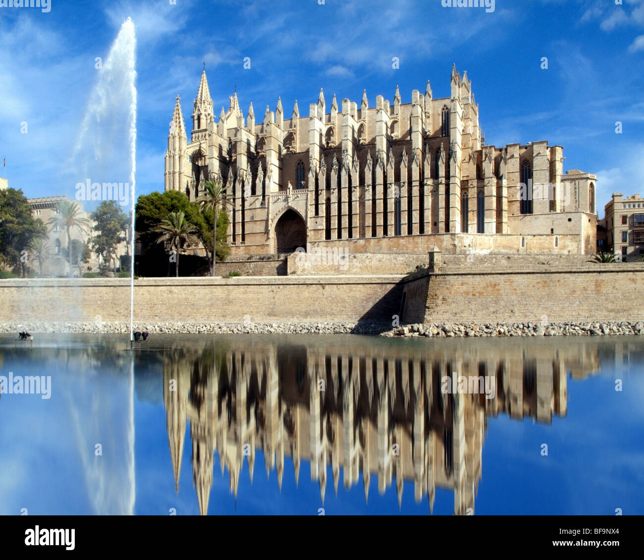 ES - MALLORCA: La Seu Kathedrale in Palma De Mallorca Stockfoto