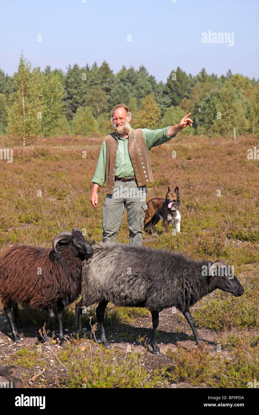 ein Hirte mit seinen Schafen und seinem Hund in Lüneburg Heide