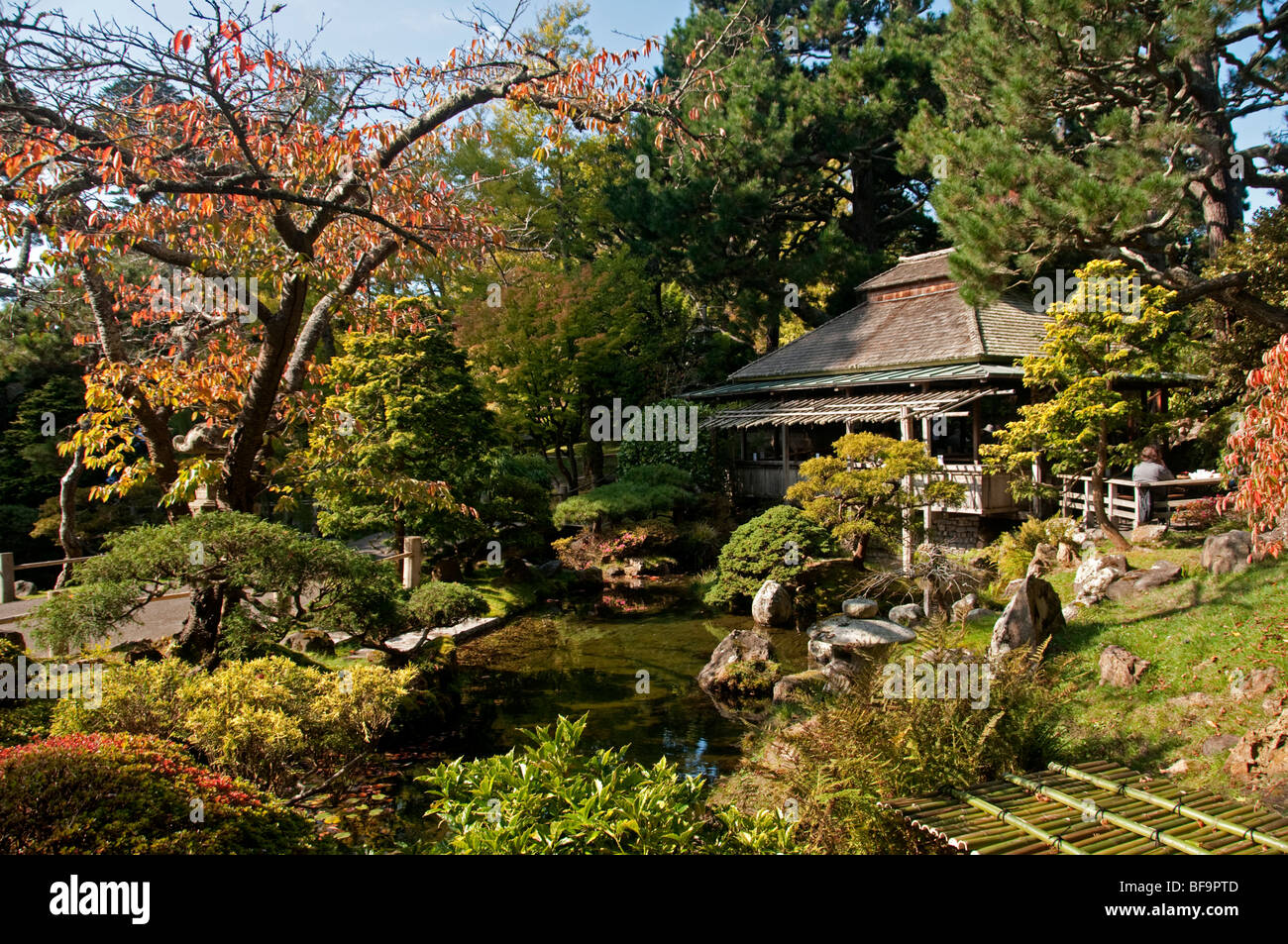 Ein Herbsttag in der Japanese Tea Garden in San Francisco Golden Gate Park, Kalifornien. Stockfoto