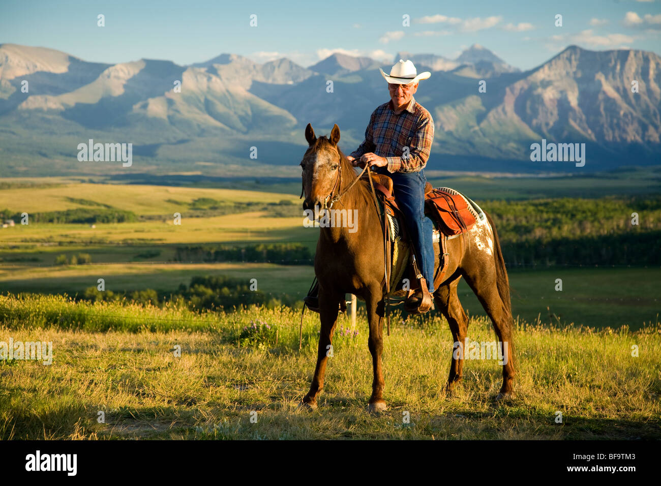 Cowboy in der Nähe von Waterton Lakes Nationalpark, Alberta, Kanada (kein Model-Release) Stockfoto