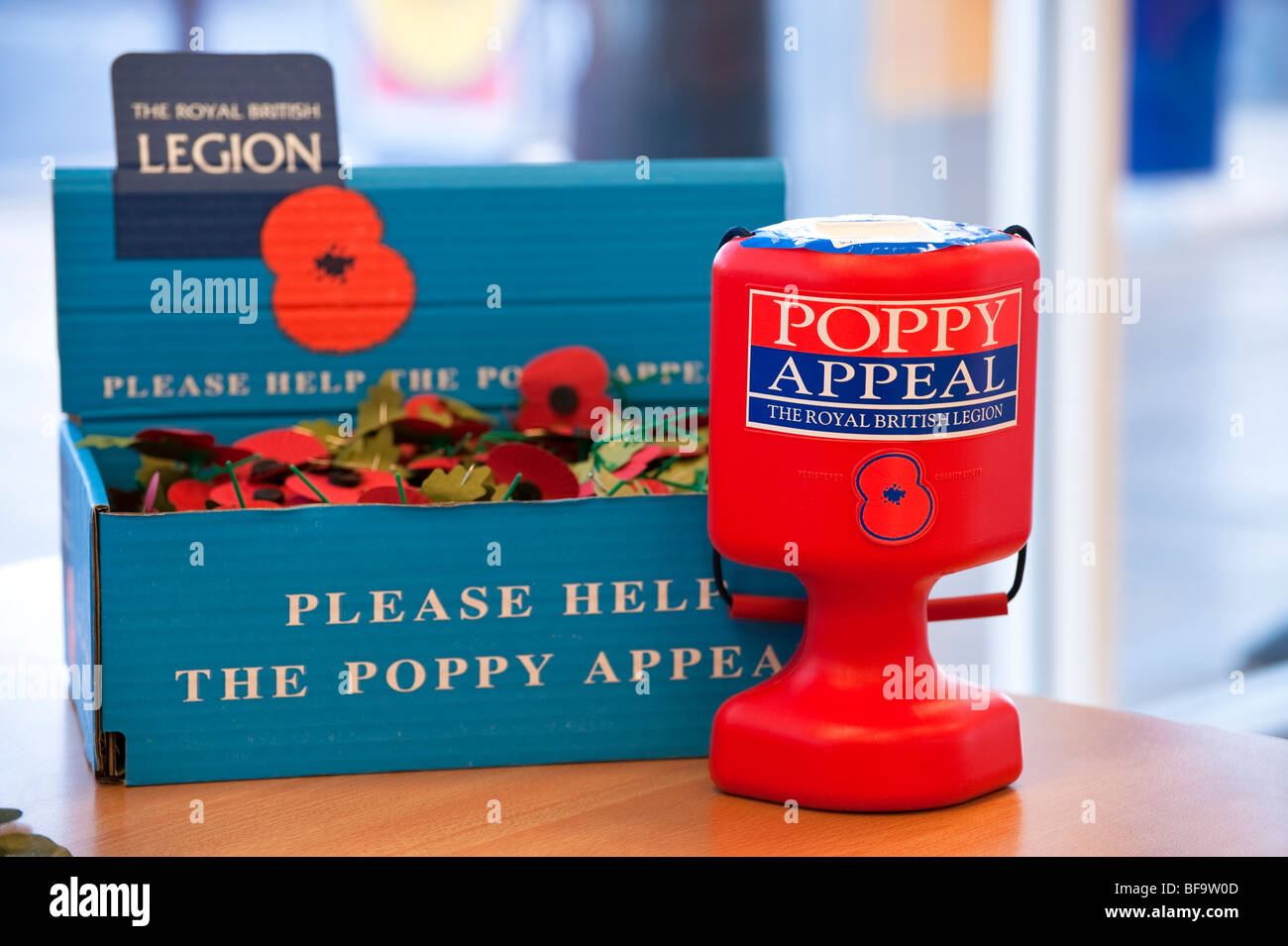 Die Royal British Legion Mohn Beschwerde. Sammelbox voll von roten Mohnblumen. Nächstenliebe Zinn nehmen Geld für Veteranen. Stockfoto