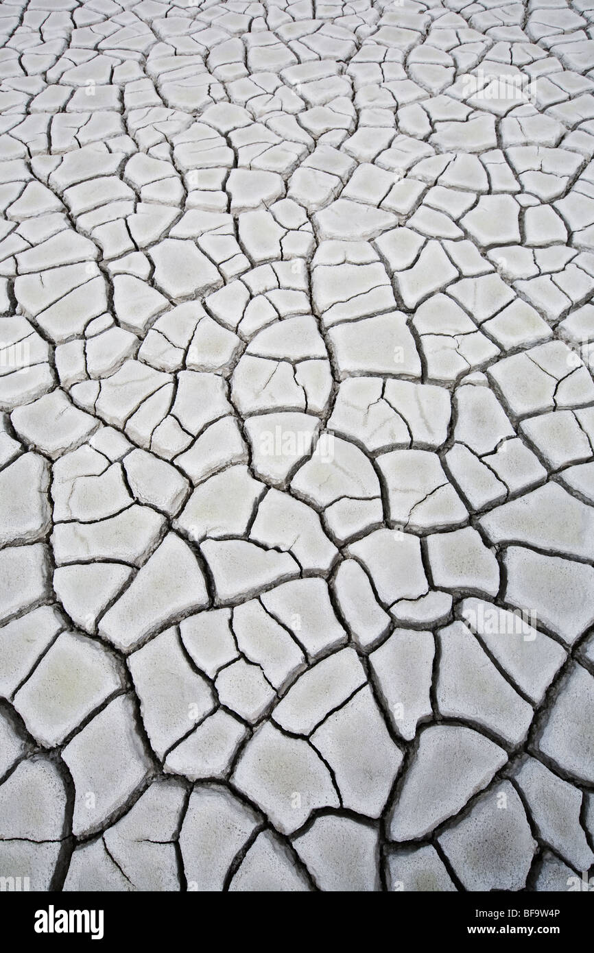 Trocknen Sie salzig Schlamm im Eduardo Avaroa Nationalpark im Südwesten Boliviens. Stockfoto