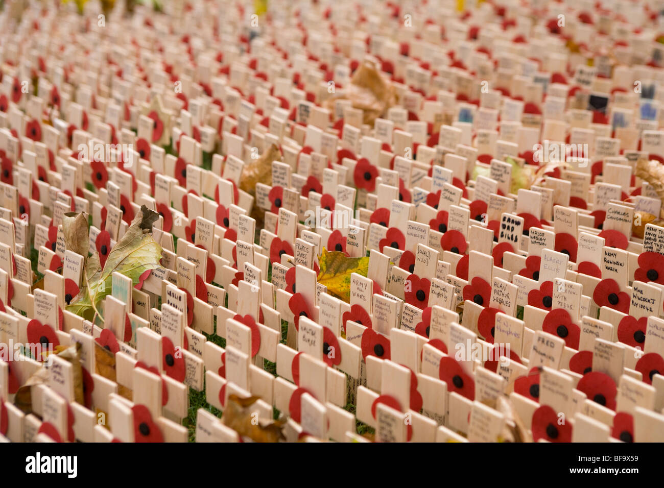 Tausende von kreuzen und Mohn in dem Garden of Remembrance in der Westminster Abbey ehrt diejenigen getötet in der ersten und Krieg Stockfoto