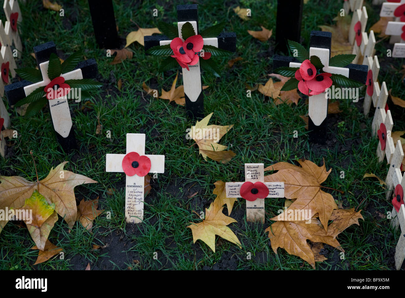 Kreuze mit Mohnblumen in dem Garden of Remembrance in der Westminster Abbey Stockfoto