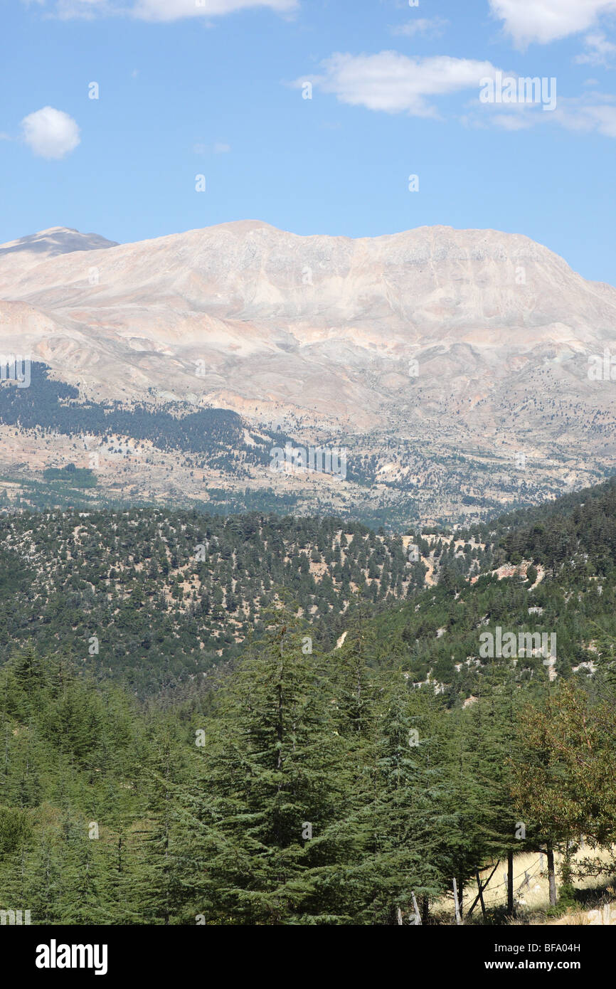 Uyluk Tepesi Berg der Türkei Stockfoto