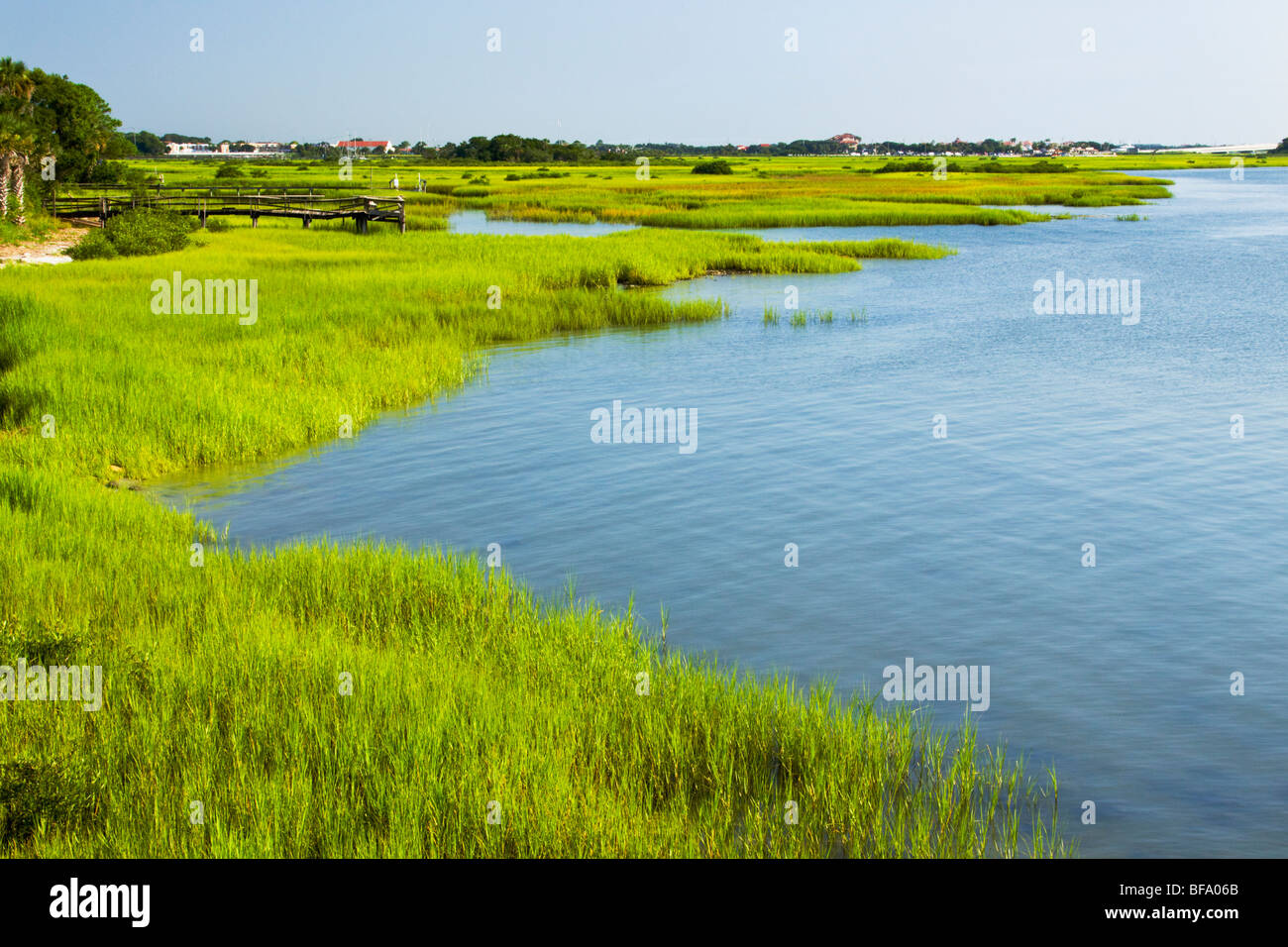 Sumpfgebiet auf dem Binnengewässer-Weg in St. Augustine. Stockfoto