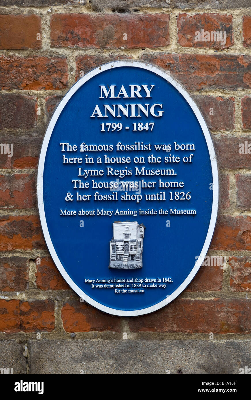 Mary Anning Blue Plaque Lyme Regis Dorset England UK Stockfoto