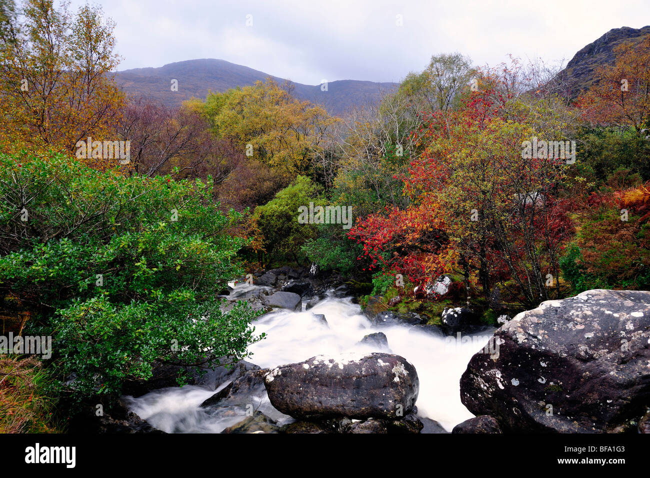 Herbst Farben, Berge und Stream in The Black Valley, Co.Kerry, Irland Stockfoto
