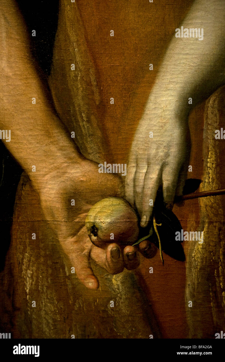 Cornelis van Haarlem The Fall der Mann Adam Eva Garden Of Eden Apfel Baum Museum Niederlande Stockfoto
