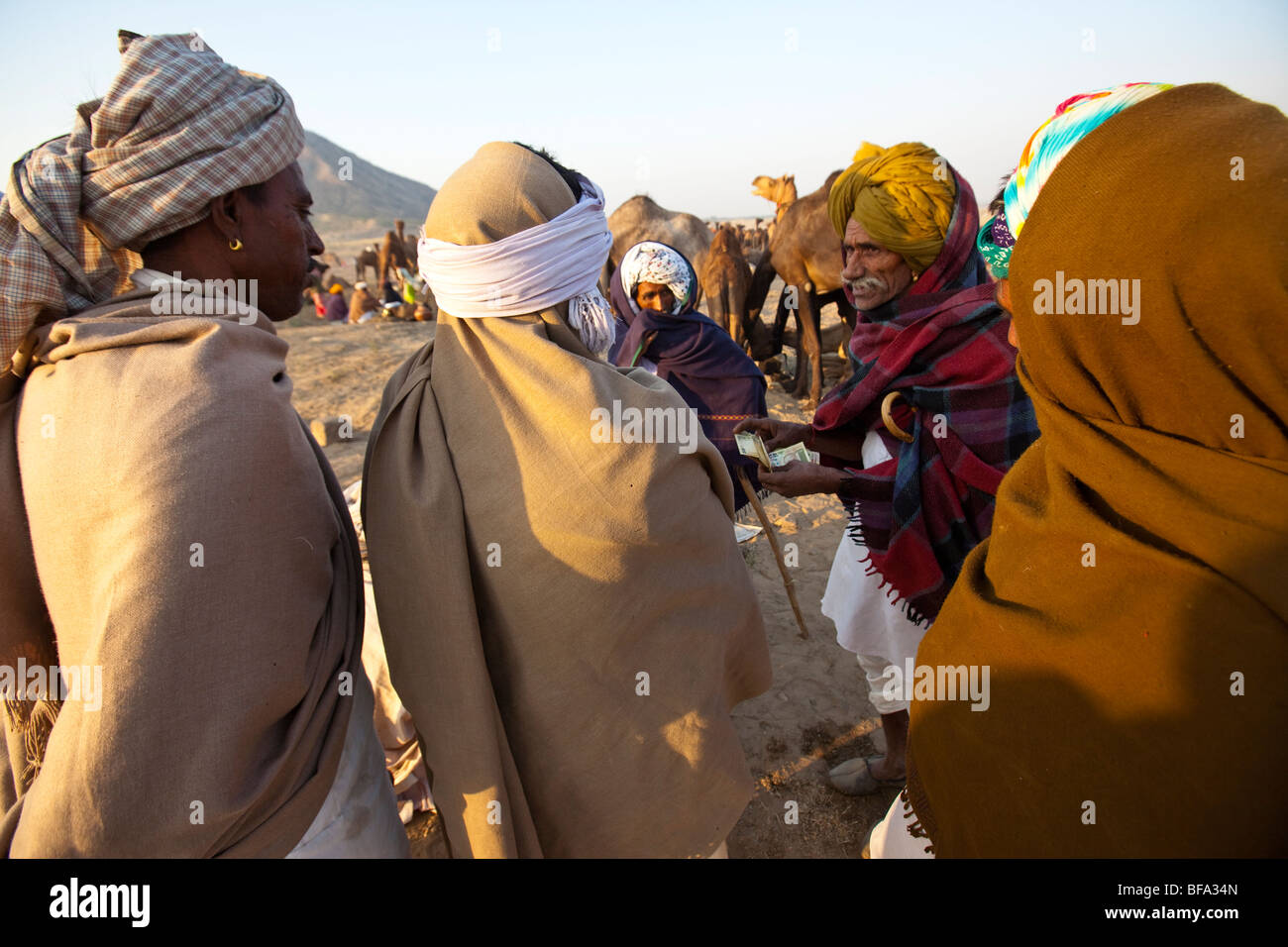 Handel auf dem Kamel Messe in Indien Pushkar Kamel Stockfoto
