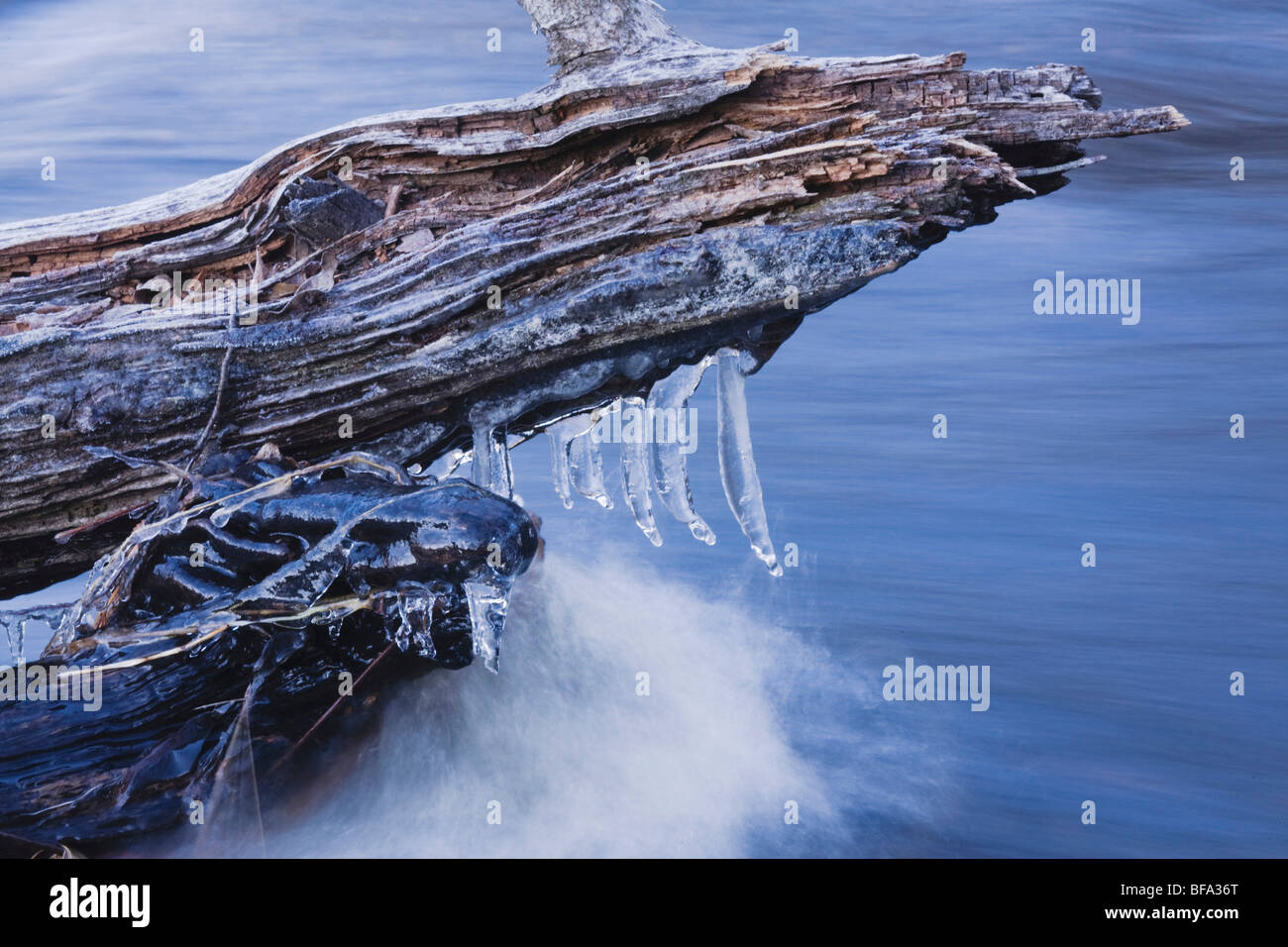 Eis-Sicheln auf Einloggen Haw River, Haw River State Park, Pittsboro, North Carolina, USA Stockfoto